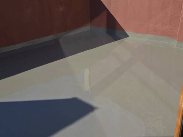 proiect-delea-veche-2